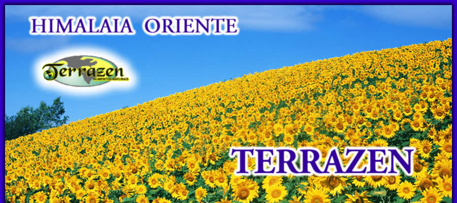 Himalaia Oriente - Terrazen